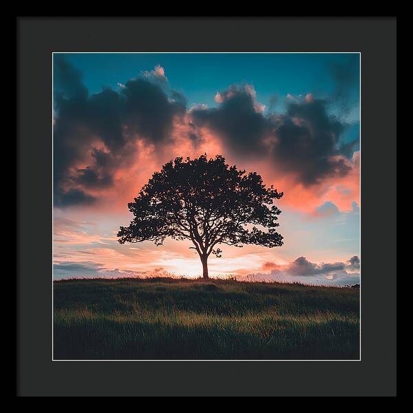 Anchored in the Breeze - Framed Print