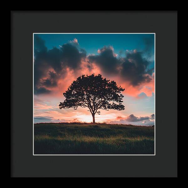 Anchored in the Breeze - Framed Print