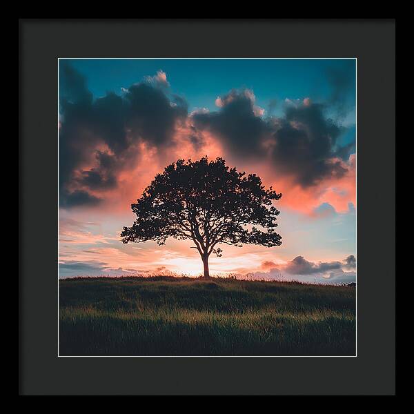 Anchored in the Breeze - Framed Print