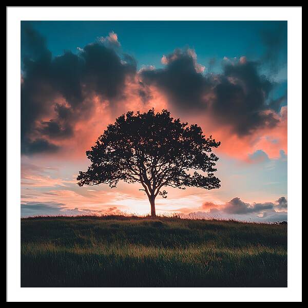 Anchored in the Breeze - Framed Print