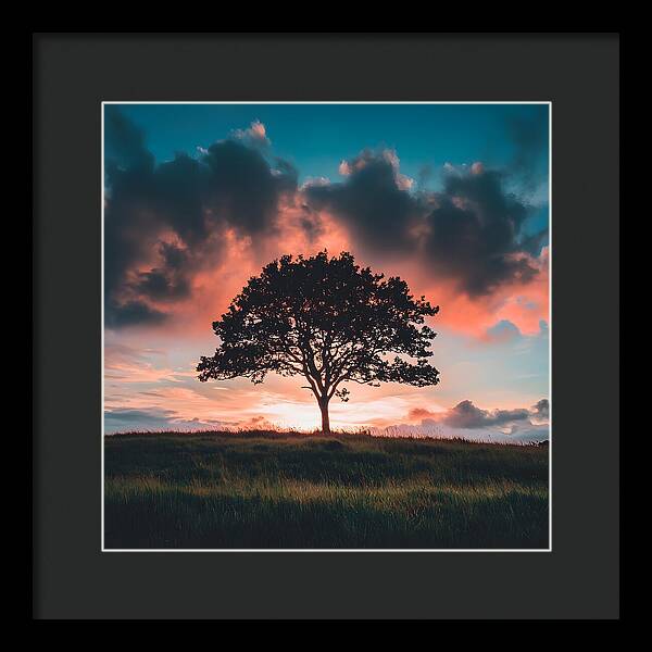 Anchored in the Breeze - Framed Print