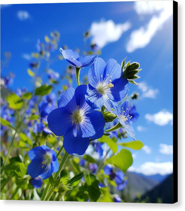 Blue Beauty - Canvas Print