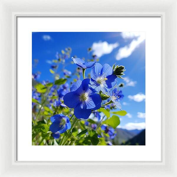 Blue Beauty - Framed Print
