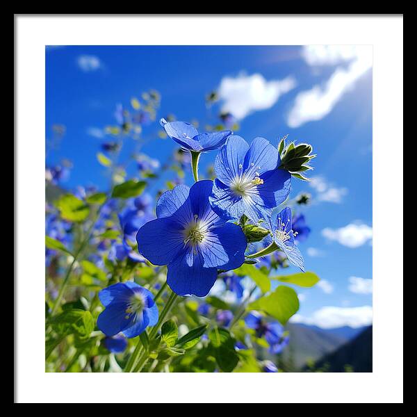 Blue Beauty - Framed Print
