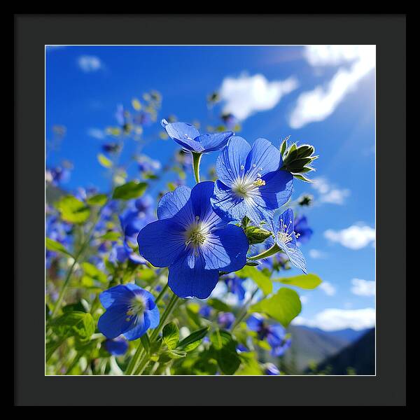 Blue Beauty - Framed Print