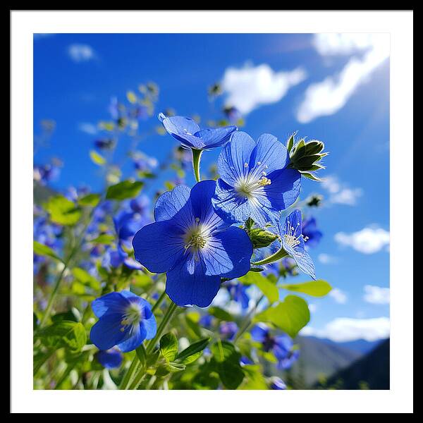 Blue Beauty - Framed Print