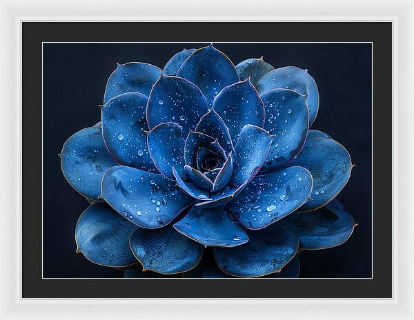 Blue Serenity - Framed Print