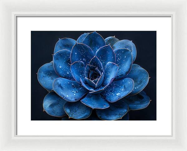 Blue Serenity - Framed Print