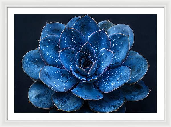 Blue Serenity - Framed Print