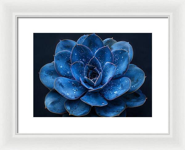 Blue Serenity - Framed Print
