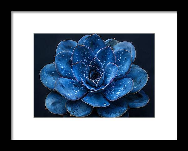 Blue Serenity - Framed Print