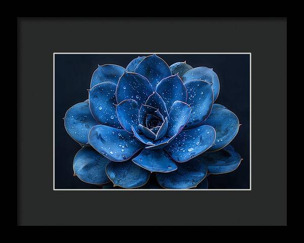 Blue Serenity - Framed Print