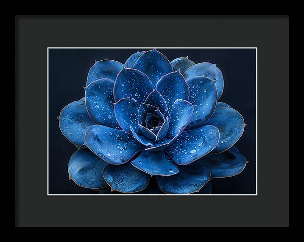Blue Serenity - Framed Print