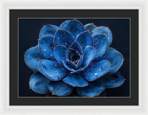 Blue Serenity - Framed Print