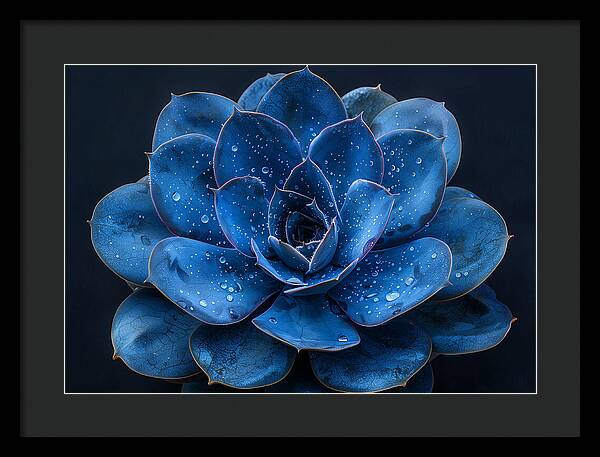 Blue Serenity - Framed Print