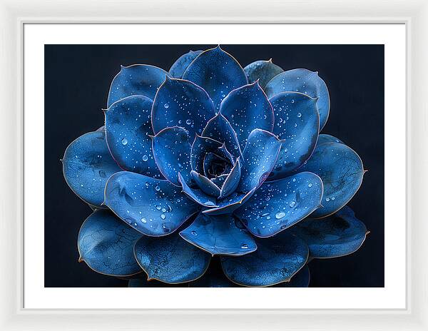 Blue Serenity - Framed Print
