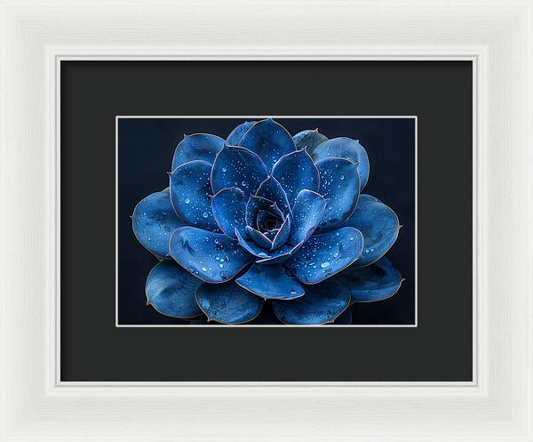 Blue Serenity - Framed Print