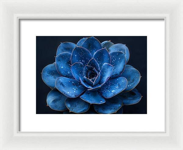 Blue Serenity - Framed Print