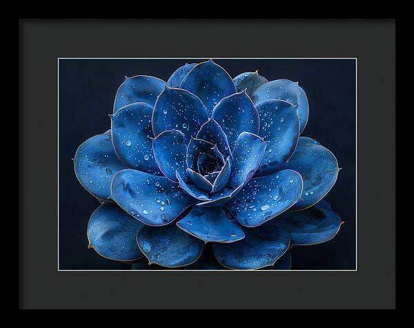 Blue Serenity - Framed Print