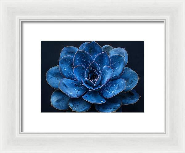 Blue Serenity - Framed Print