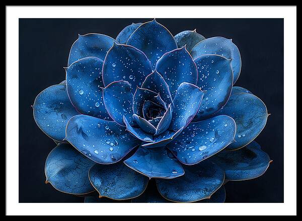 Blue Serenity - Framed Print