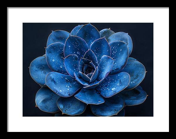Blue Serenity - Framed Print