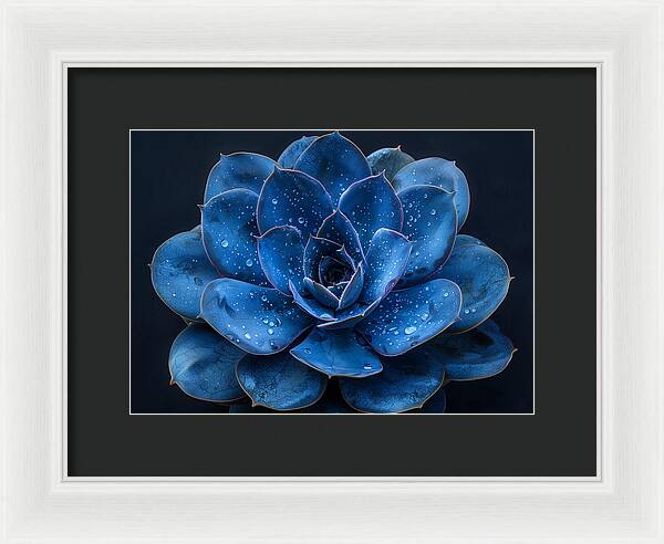 Blue Serenity - Framed Print