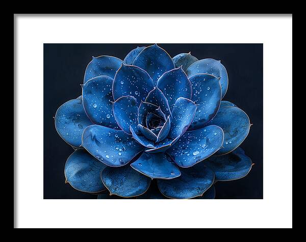 Blue Serenity - Framed Print