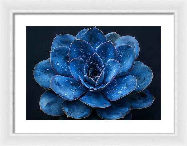 Blue Serenity - Framed Print