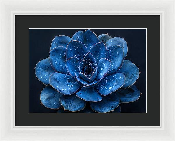 Blue Serenity - Framed Print