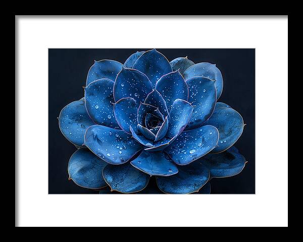 Blue Serenity - Framed Print