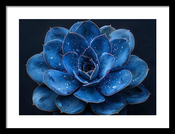 Blue Serenity - Framed Print