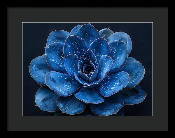 Blue Serenity - Framed Print