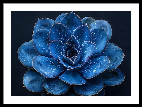 Blue Serenity - Framed Print