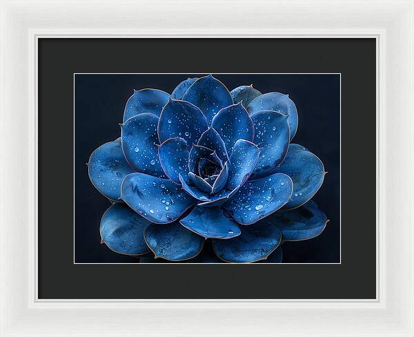 Blue Serenity - Framed Print