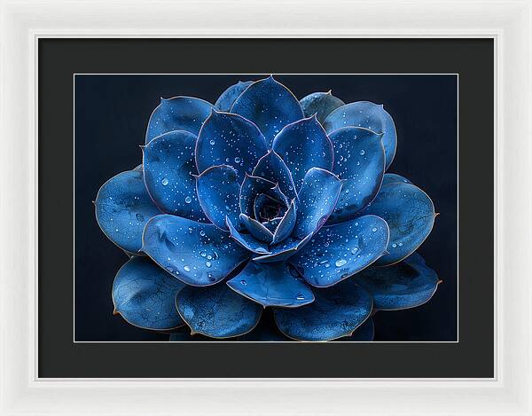 Blue Serenity - Framed Print