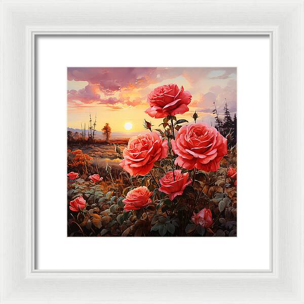 Blush at Sundown - Framed Print