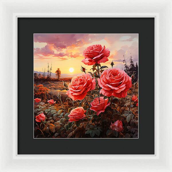 Blush at Sundown - Framed Print