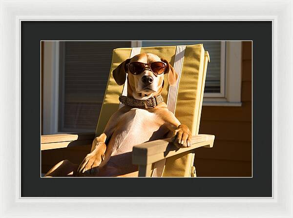 Canine Chillout - Framed Print