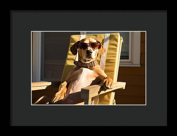 Canine Chillout - Framed Print