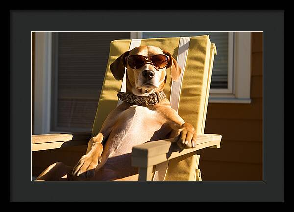 Canine Chillout - Framed Print