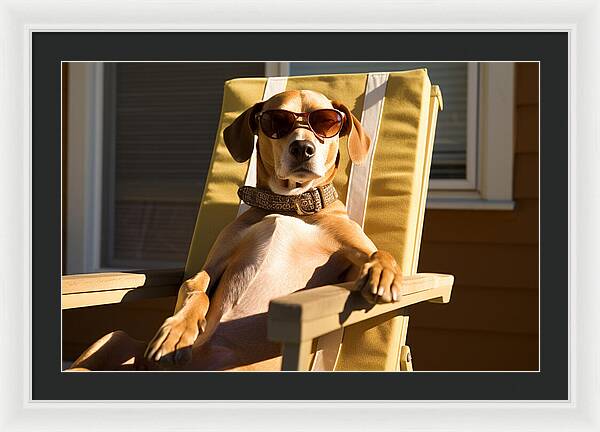 Canine Chillout - Framed Print