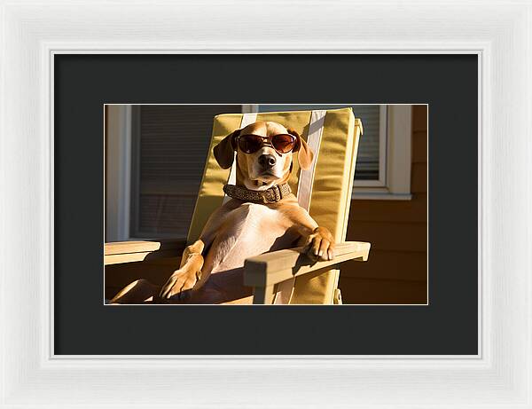 Canine Chillout - Framed Print