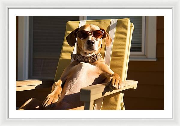 Canine Chillout - Framed Print