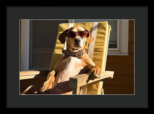 Canine Chillout - Framed Print