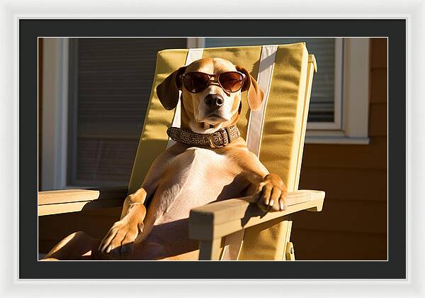Canine Chillout - Framed Print