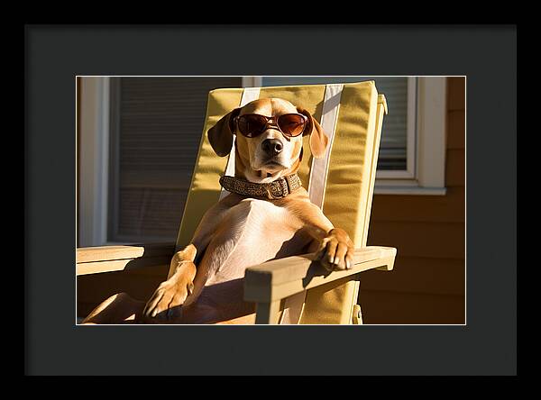 Canine Chillout - Framed Print