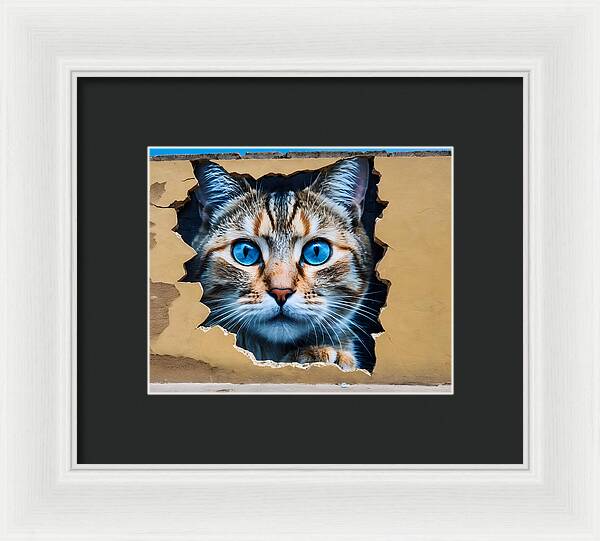 Curiosity Unleashed - Framed Print