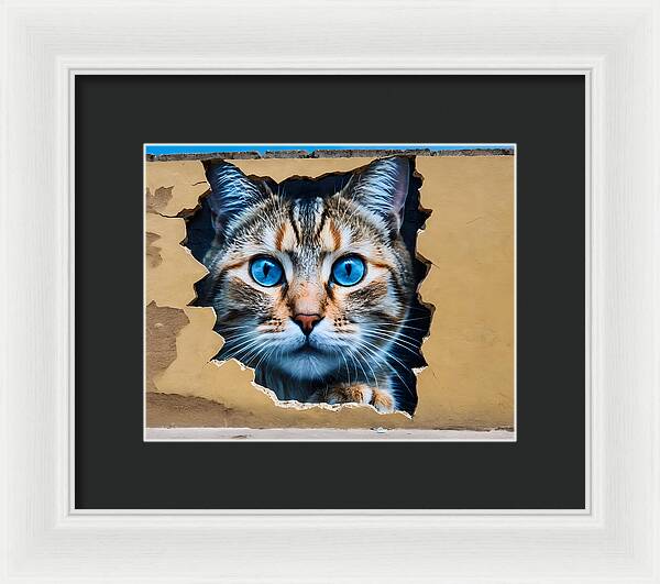 Curiosity Unleashed - Framed Print