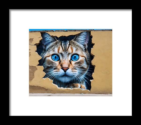 Curiosity Unleashed - Framed Print